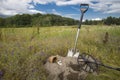 Pot of gold coins collected with help of metal detector, green grass background. Royalty Free Stock Photo