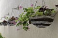 The basket is wicker suspended against the wall with pink flowers the background of a series of blurred same baskets