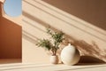 Pot with a houseplant and empty vase on a beige background of the wall with shadows Royalty Free Stock Photo