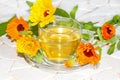 Pot marigold or Calendula officinalus Royalty Free Stock Photo