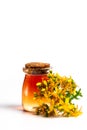 Pot marigold oil and flowers isolated Royalty Free Stock Photo