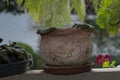 Pot of old clay flowers