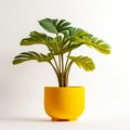 pot paired with a lush, green plant, isolated against a pristine white background.