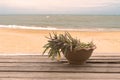 Pot plant beachfront on wooden table