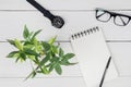 Pot of plant with paper notes on the table Royalty Free Stock Photo