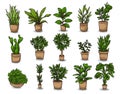 Pot plant set of hand drawn houseplants. vector illustration