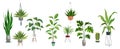 Pot plant set. Plants plastic decorative container and hanging styling indoor basket for potting tree vector collection