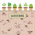 Pot Plants On Brick Wall Gardening Concept