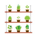 Pot Plants Gardening Concept Royalty Free Stock Photo