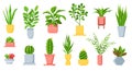 Pot plants. House tropical leaves, tree, succulents and cactus. Urban jungle, home green garden in flowerpots. Cartoon