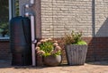 Pot plants and plastic rain barrel with overflow prevention system on facade of modern house Royalty Free Stock Photo