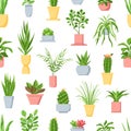 Pot plants seamless pattern. Houseplants, cactus and succulents, garden in pots home interior decor. Scandinavian style