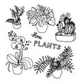 Plants set, vector illustration flowers in pots drawn black line on a white background, hand-drawn design elements. Royalty Free Stock Photo