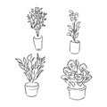 Pot plants set, vector illustration flowers in pots drawn black line on a white background, hand-drawn design elements. Royalty Free Stock Photo