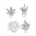 Pot plants set, vector illustration flowers in pots drawn black line on a white background, hand-drawn design elements. Royalty Free Stock Photo