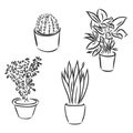 Pot plants set, vector illustration flowers in pots drawn black line on a white background, hand-drawn design elements. Royalty Free Stock Photo