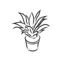 Pot plants set, vector illustration flowers in pots drawn black line on a white background, hand-drawn design elements. Royalty Free Stock Photo