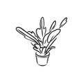 Pot plants set, vector illustration flowers in pots drawn black line on a white background, hand-drawn design elements. Royalty Free Stock Photo