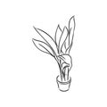 Pot plants set, vector illustration flowers in pots drawn black line on a white background, hand-drawn design elements. Royalty Free Stock Photo