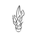 Pot plants set, vector illustration flowers in pots drawn black line on a white background, hand-drawn design elements. Royalty Free Stock Photo