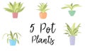 5 Pot Plants in pastel coloured pots