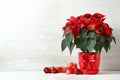 Pot with poinsettia traditional Christmas flower and gift boxes on table against light background. Royalty Free Stock Photo