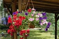 Pot with red and blue flowers hanging on wall in summer village