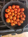 Pot Roasting Tomatoes for Tomatoes Choka Royalty Free Stock Photo