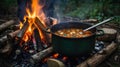 A pot of stew cooking over a campfire in a forest setting Royalty Free Stock Photo
