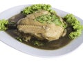 Pot stewed duck with coriander on top,clipping path Royalty Free Stock Photo