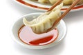 Pot stickers , gyoza , japanese food Royalty Free Stock Photo