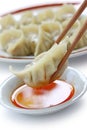 Pot stickers , gyoza , japanese food Royalty Free Stock Photo