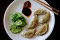 Asian Meal of Pot Stickers and Seaweed Royalty Free Stock Photo