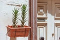 Pot with succulents plants at the door of the entrance to the house with a slot for receiving letters and mail in the box