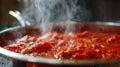 Pot of tomato sauce simmering on the stove, with steam rising from the pot. Nice texture and deep red color.