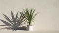 Minimalist Yucca Houseplant In White Pot - Ultra Photorealistic 3d Design