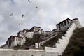 The Potala and Flying Birds