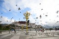 The potala palace with doves