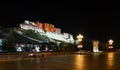 The Potala Palace night