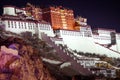 Potala palace in Tibet,China