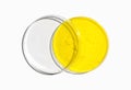 Potassium Chromate powder in Petri dish with plastic lid on white laboratory table. The most commonly used chemical in the