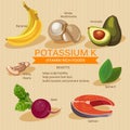 Potassium foods. Vitamins and Minerals foods Illustrator. Vector set of vitamin rich foods.