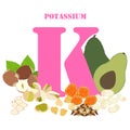 Potassium healthy nutrient rich food vector illustration