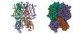 Structure of human HCN1 channel in a hyperpolarized conformation