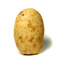 Potato Royalty Free Stock Photo