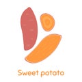 Sweet Potato. Vector Illustration EPS Royalty Free Stock Photo