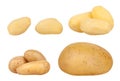 Potato