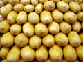 Potato background