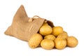 Potato bag Royalty Free Stock Photo