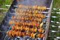 Potato and bakon on skewers cooking on fire. Barbecue lunch